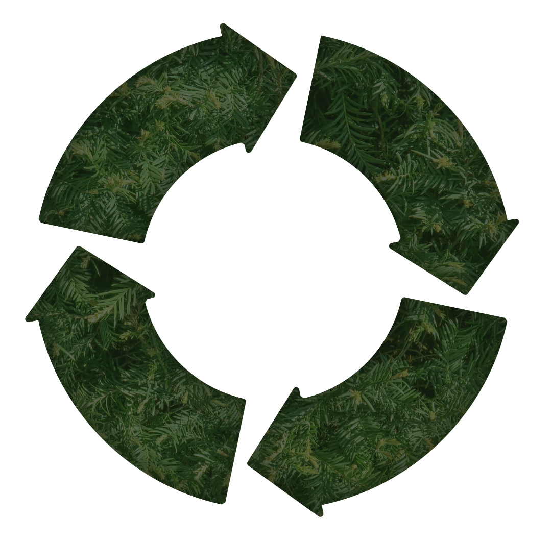 Recycling Kreis mit Bäumen gefüllt